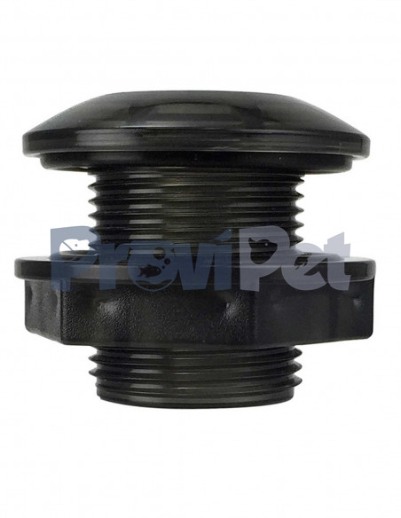 Bulk Head Traslucido