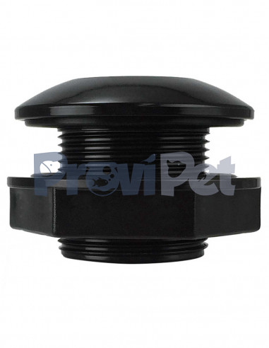 Bulk Head Traslucido