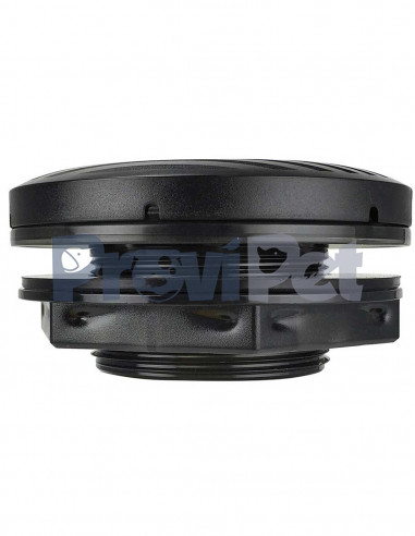 Bulk Head Traslucido