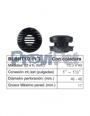 Bulk Head Traslucido