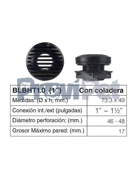 Bulk Head Traslucido