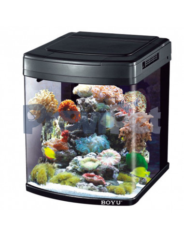 Linea Happy Family Led