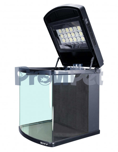 Linea Happy Family Led