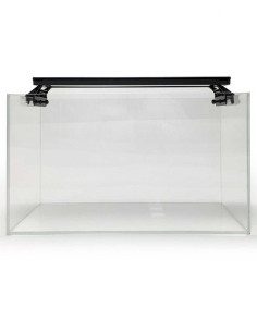 Linea Optica 2