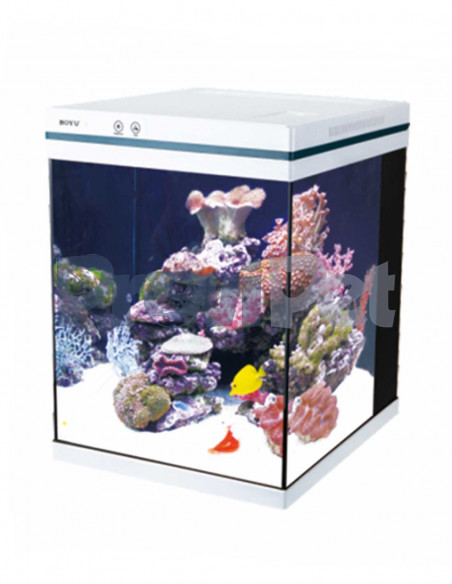 Linea Inteligente Con Wifi