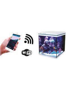 Linea Inteligente Con Wifi 2