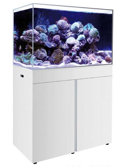 Linea Marina Con Sump