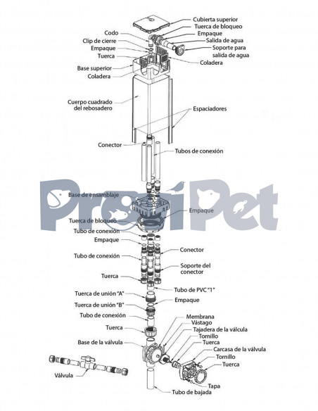 Linea Marina Con Filtro Trasero