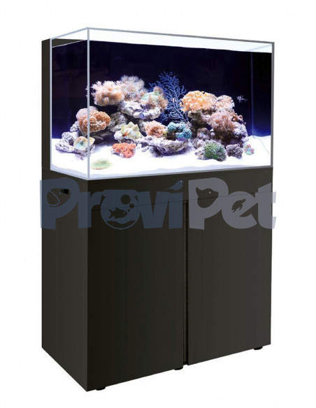 Linea Marina Con Filtro Trasero