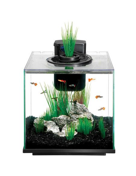 Linea Aqua Springs