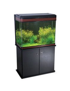 Linea Lift 2