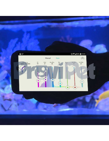 Linea Max-E Con Wifi