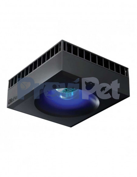 Linea Max-E Con Wifi