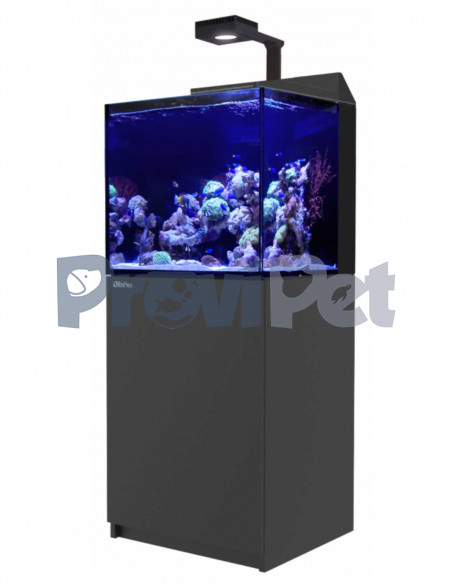 Linea Max-E Con Wifi