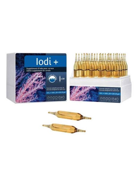 Iodi +