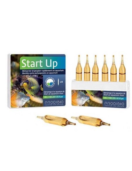 Start Up
