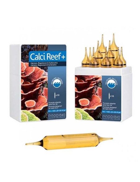 Calci Reef