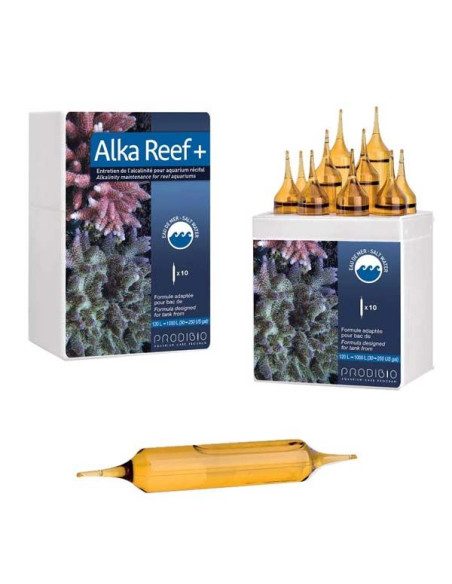 Alka Reef