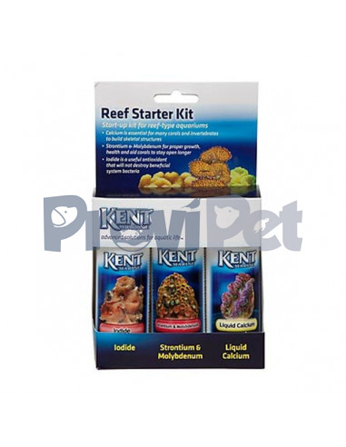 Reef Starter Kit