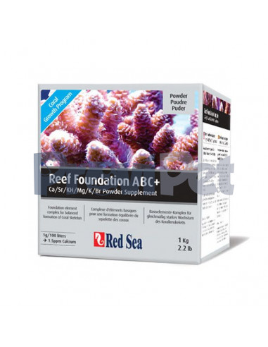 Reef Foundation