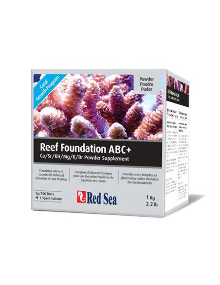 Reef Foundation