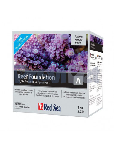 Reef Foundation A
