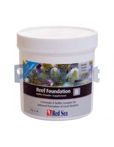 Reef Foundation B