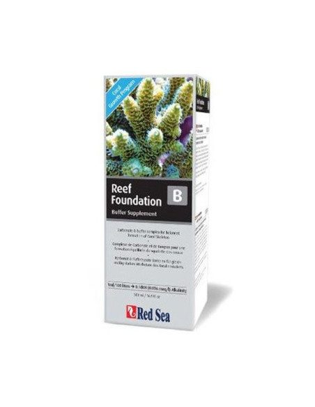 Reef Foundation B