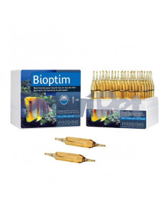 Bioptim