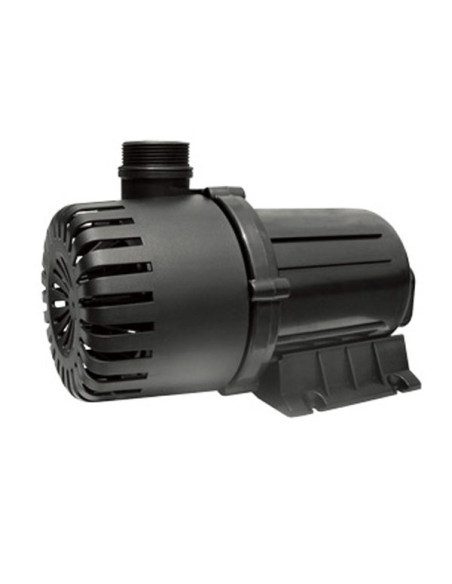 Sea Lion Water Pump