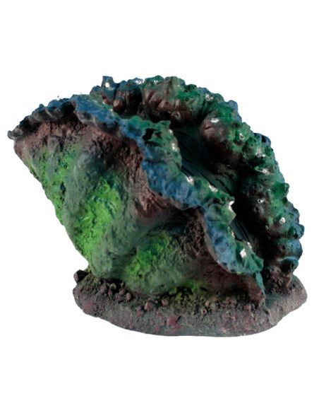 Almeja Iluminada