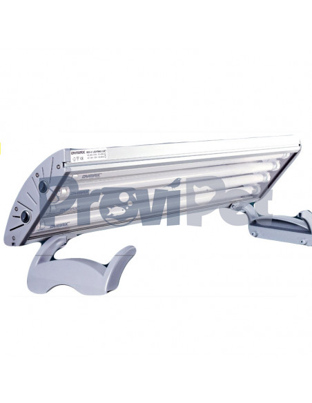 Rex-4 Lighting Series