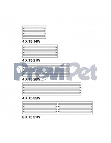 Rex-4 Lighting Series