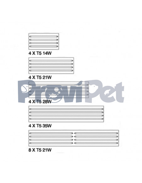 Rex-4 Lighting Series
