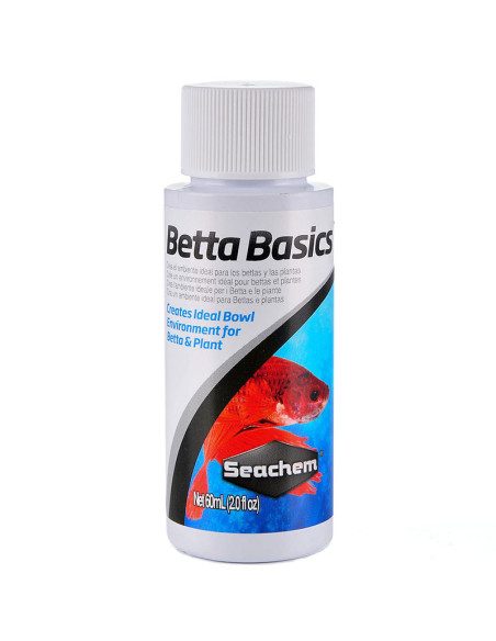 Betta Basics