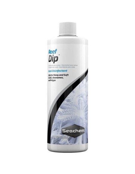 Reef Dip