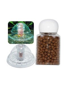 Snail Trap 2