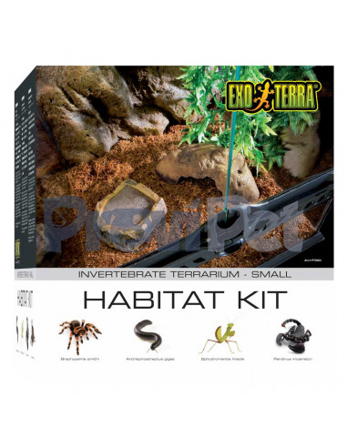 Habitat Kit Invertebrate