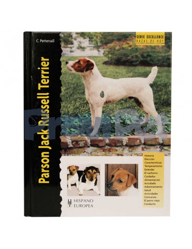 Jack Russell
