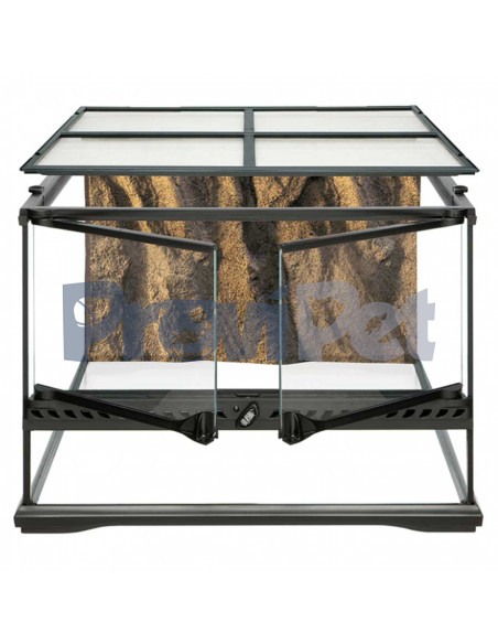 Natural Terrarium Natural Terrarium