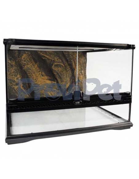 Natural Terrarium Natural Terrarium