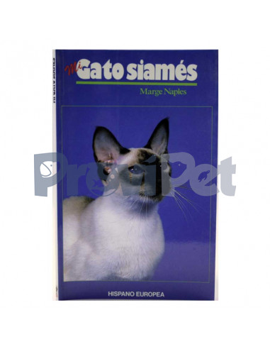 Mi Gato Siames