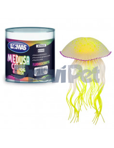 Medusa Caribe