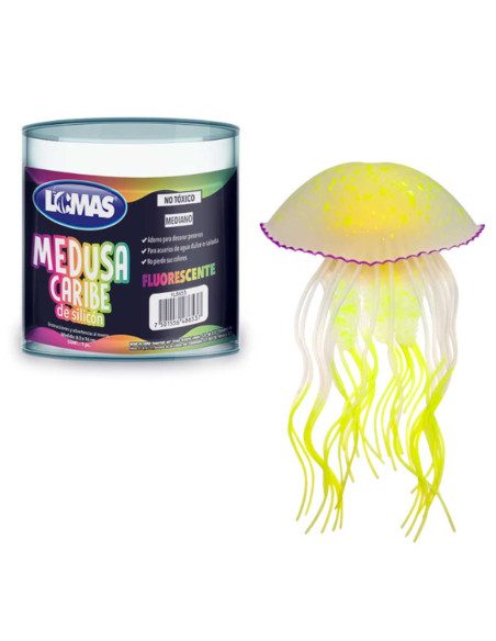 Medusa Caribe