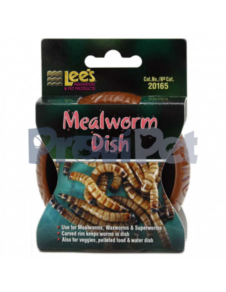 Worm Dish