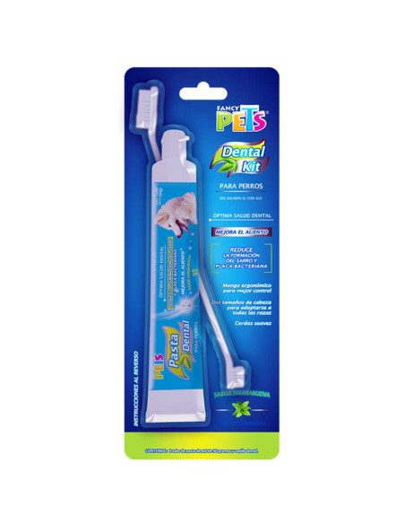 Dental Kit