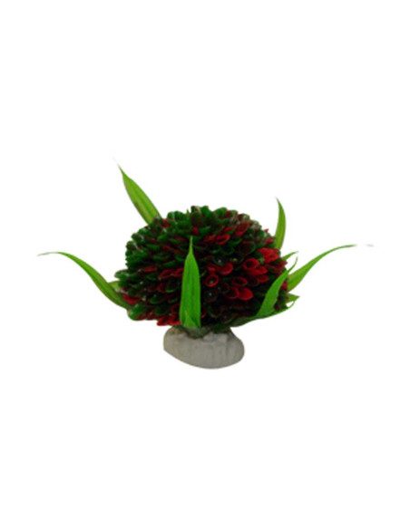 Arbusto Mini