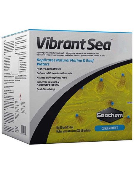 Vibrant Sea