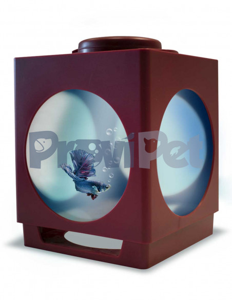 Betta Projector Betta Projector