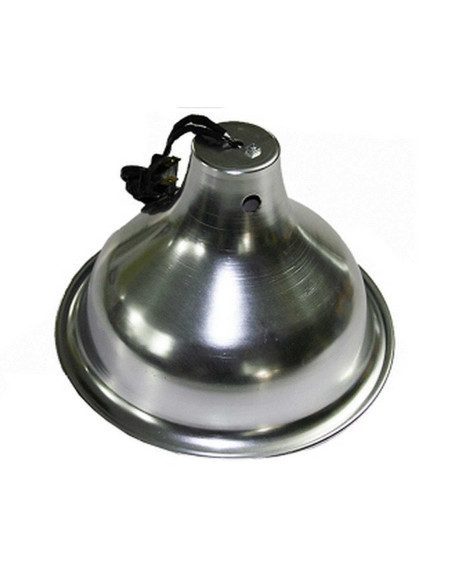 Campana